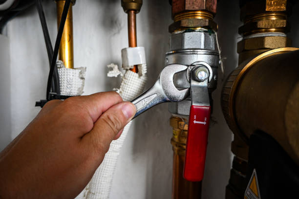 Best Residential Plumbing Services  in Louisa, KY